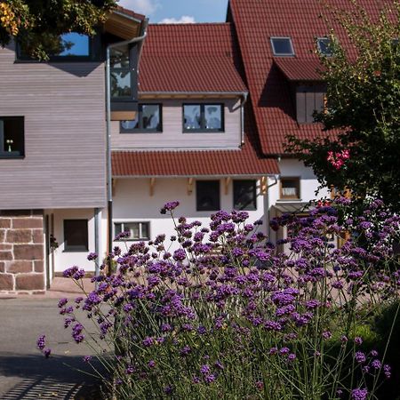 Saunaloft Schwarzwald Gemeinde Gemeinde Aichhalden Dış mekan fotoğraf