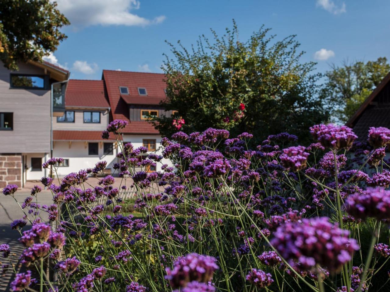 Saunaloft Schwarzwald Gemeinde Gemeinde Aichhalden Dış mekan fotoğraf