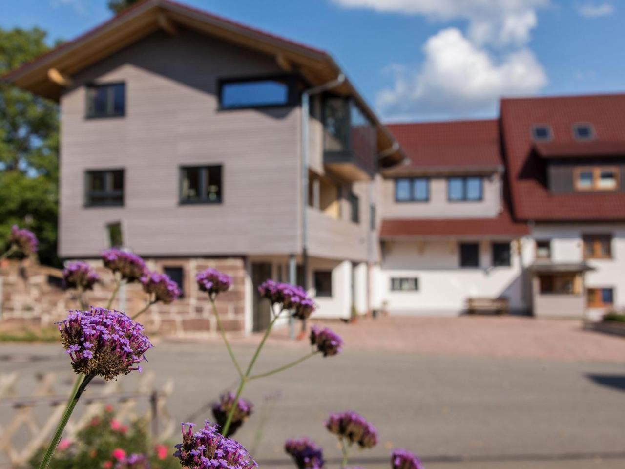 Saunaloft Schwarzwald Gemeinde Gemeinde Aichhalden Dış mekan fotoğraf